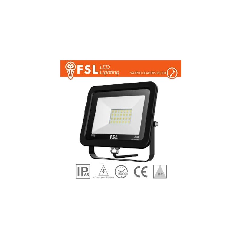 Proiettore per esterni 30W - 6500K 2400LM 115° IP65