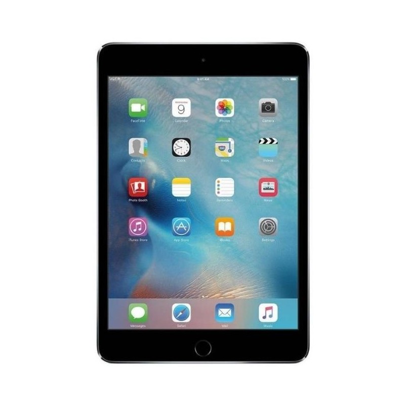 Apple Ipad Mini 4 64Gb Gray Wi-Fi A1538 Usato Grado A