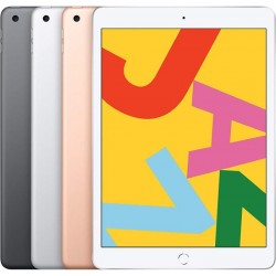 Apple iPad 7th Gen 2019 10.2'' 128GB 4G Usato Grado A Silver