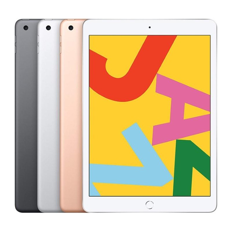 Apple iPad 7th Gen 2019 10.2'' 128GB 4G Usato Grado A Grey