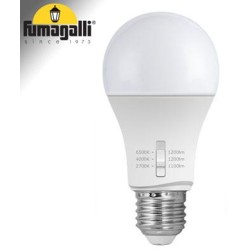 Lampadina LED E27 A60 - 8,5W - CCT - Fumagalli