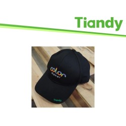 Tiandy Cappello con Logo