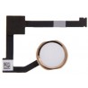 Pulsante Home assemblato per iPad Mini 4 e Air 2 Gold