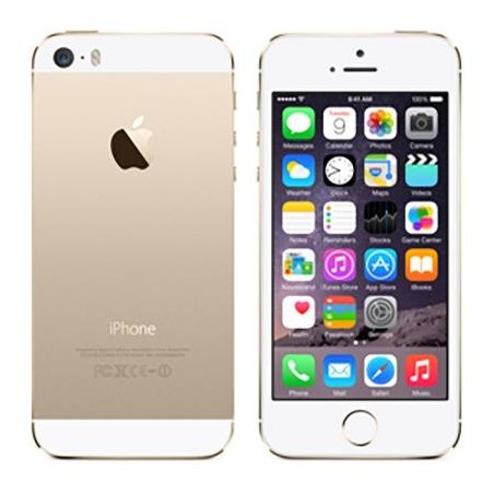 iPhone 5S 64Gb Gold Usato Grado A Garanzia 1 anno